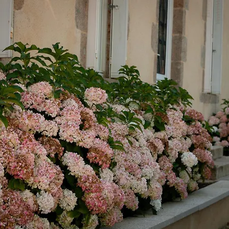 Appartement - Marie Barrault