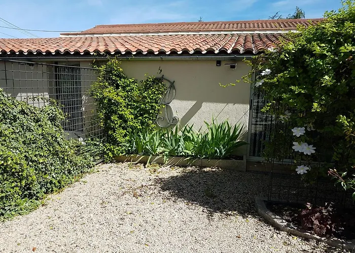 - Marie Barrault Les Herbiers